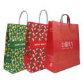 Colorful Kraft Paper Gift Promotional Shopping Bag